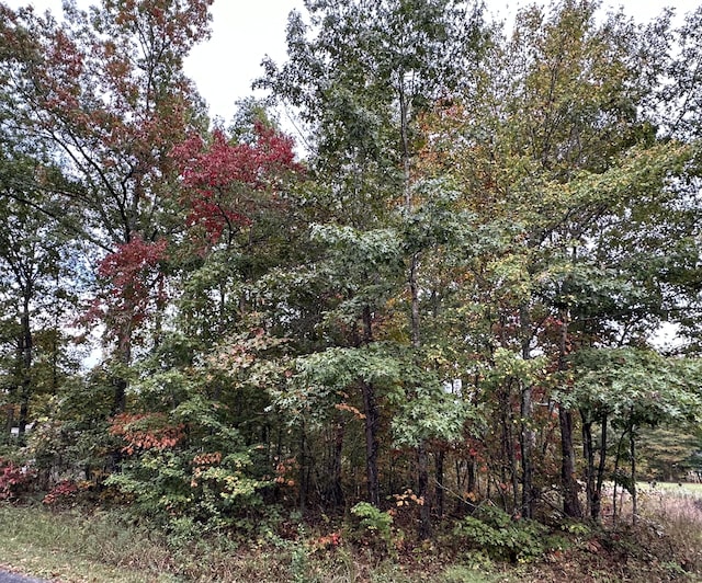 7000 Topez Dr, Crossville, TN 38572 - photo 2