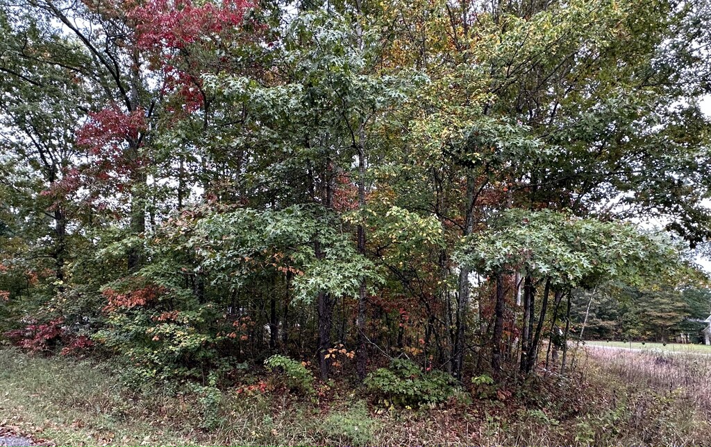 7000 Topez Dr, Crossville, TN 38572 - photo 3