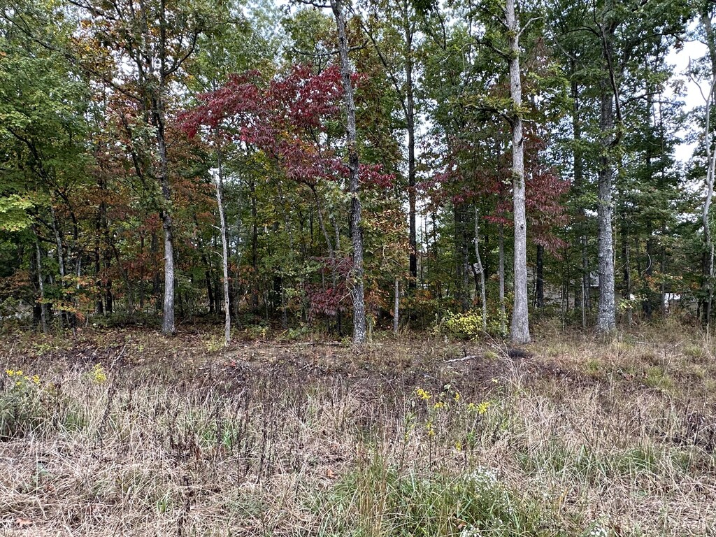7000 Topez Dr, Crossville, TN 38572 - photo 1