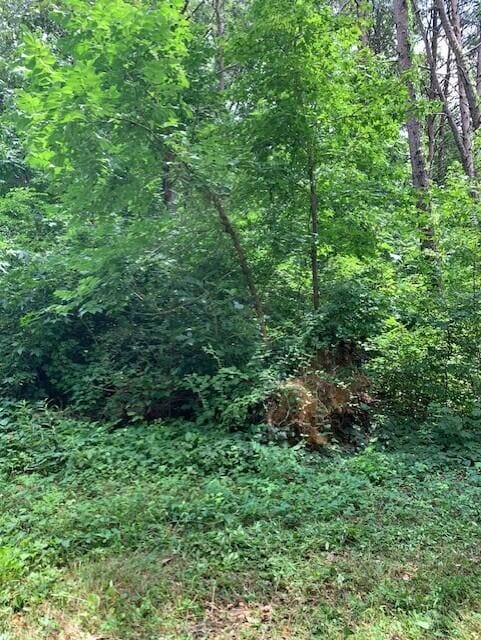 LOT53 Jenson Ave, Cleveland, TN 37323 - photo 1