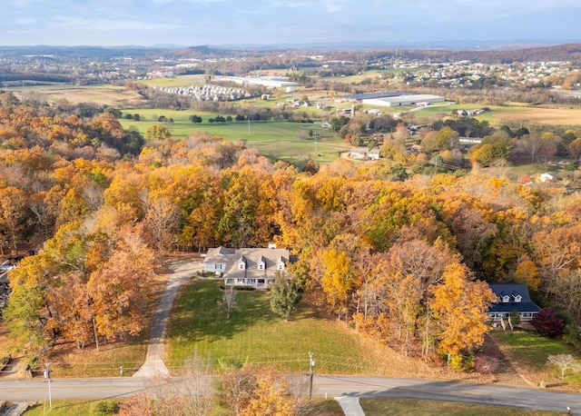 bird's eye view