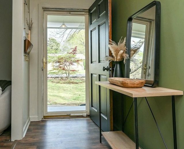 doorway featuring dark wood-style floors and a healthy amount of sunlight