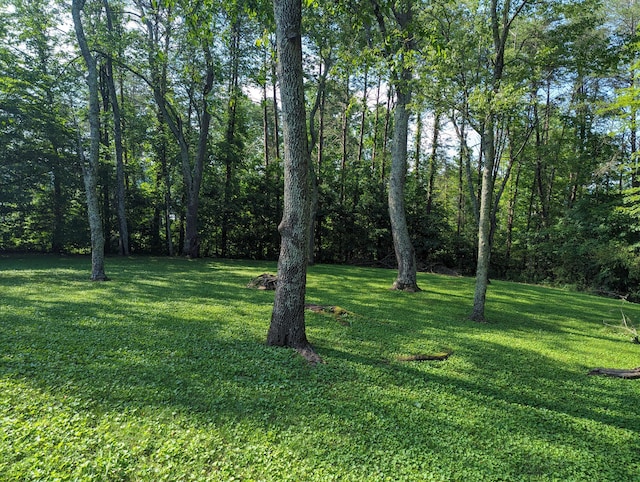 0 Hidden Hills Dr, Dayton TN, 37321 land for sale