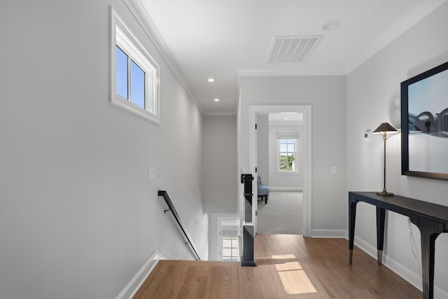 corridor with hardwood / wood-style floors and ornamental molding