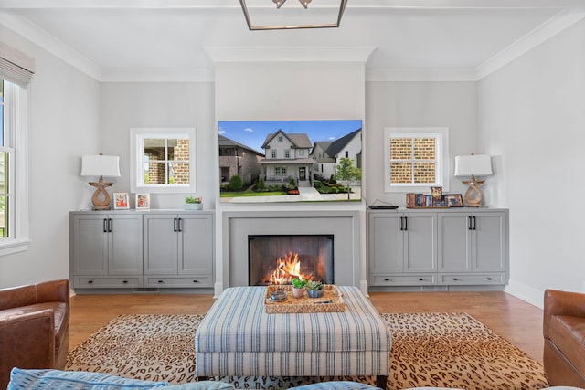 interior space featuring gray cabinetry, crown molding, and light wood-type flooring