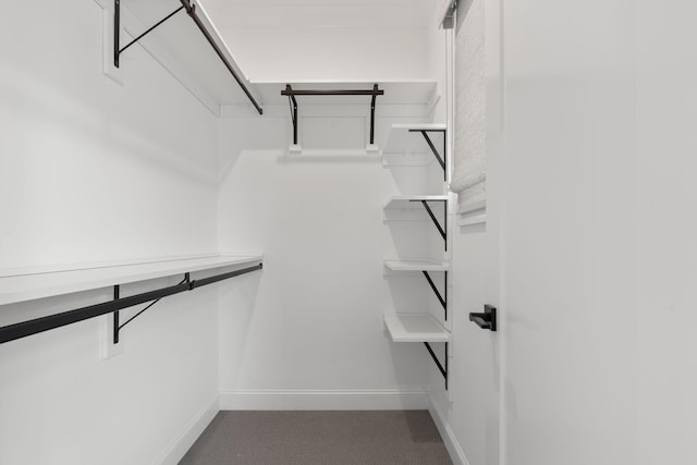 walk in closet featuring dark carpet