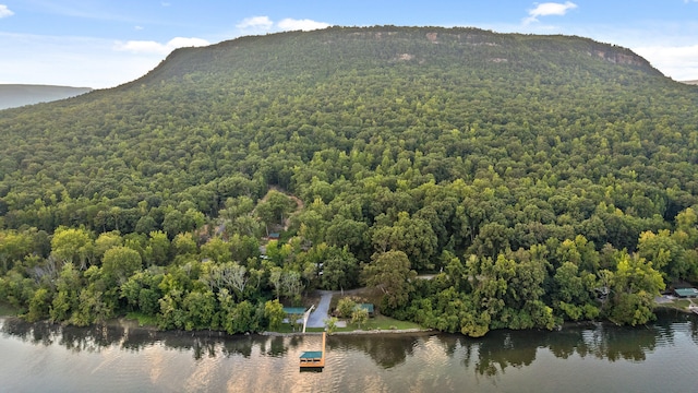 mountain view featuring a water view