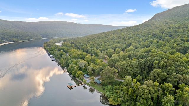 birds eye view of property featuring a water and mountain view