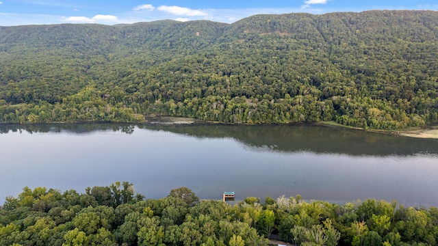 drone / aerial view featuring a water and mountain view