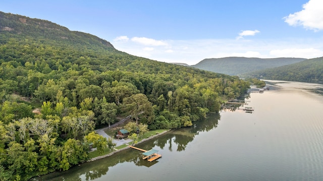 drone / aerial view featuring a water and mountain view