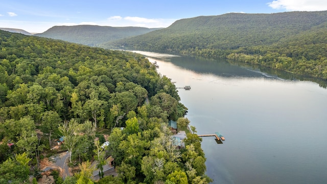 drone / aerial view featuring a water and mountain view