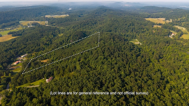 629 Mcdowell Ln, Decatur, TN 37322 - aerial view of property's location featuring a heavily wooded area and property boundaries highlighted