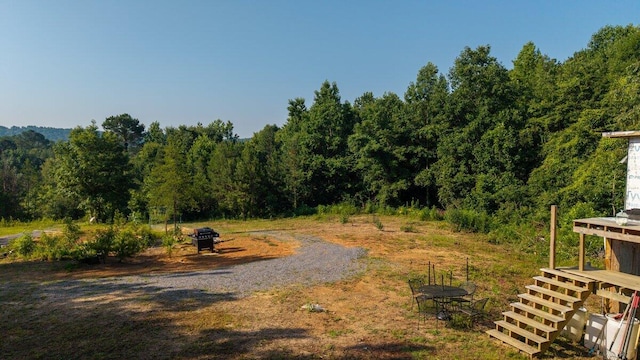 629 Mcdowell Ln, Decatur, TN 37322 - view of yard featuring a view of trees