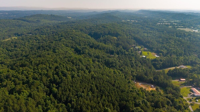 629 Mcdowell Ln, Decatur, TN 37322 - view of property location with a forest