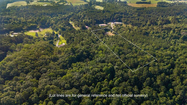 629 Mcdowell Ln, Decatur, TN 37322 - aerial view of property and surrounding area with a forest