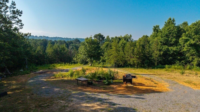 629 Mcdowell Ln, Decatur, TN 37322 - view of street featuring a forest view