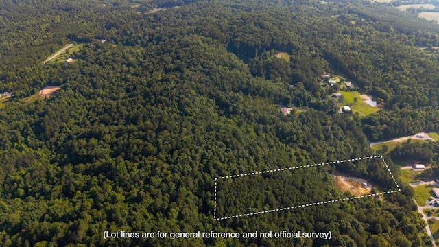 629 Mcdowell Ln, Decatur, TN 37322 - aerial overview of property's location featuring a forest and property boundaries highlighted