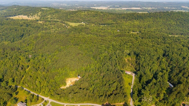 629 Mcdowell Ln, Decatur, TN 37322 - view of property location with a forest