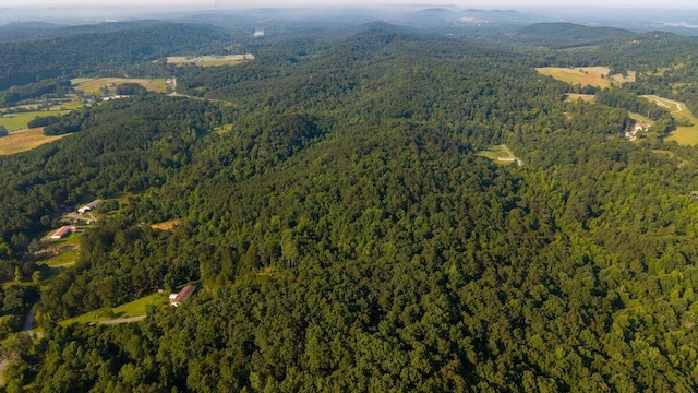 629 Mcdowell Ln, Decatur, TN 37322 - aerial view of property's location with a heavily wooded area and mountains