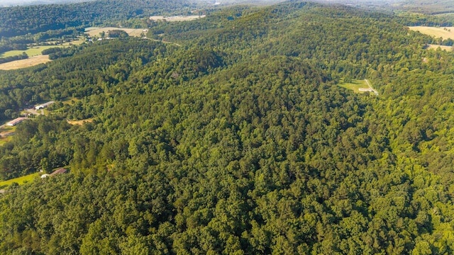629 Mcdowell Ln, Decatur, TN 37322 - aerial view of property's location featuring a heavily wooded area