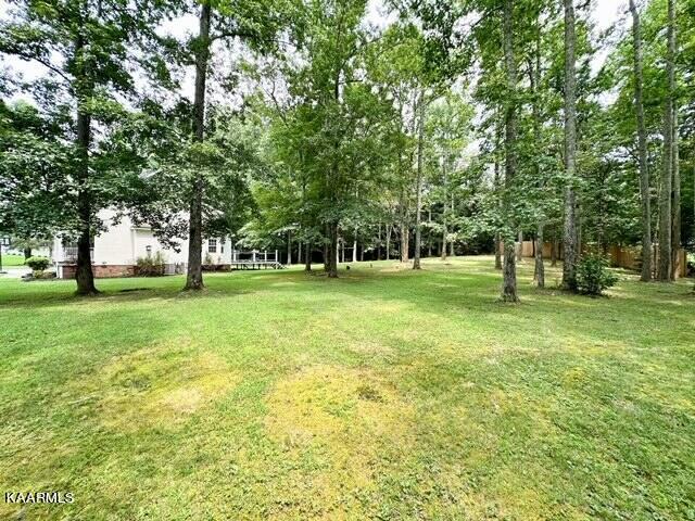 138 County Road 722, Athens, TN 37303 - photo 32