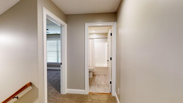 corridor featuring light colored carpet