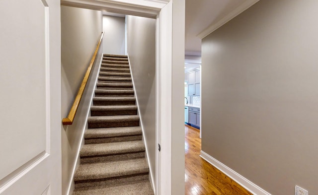 stairway with ornamental molding and hardwood / wood-style floors