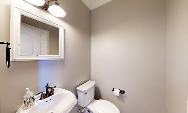 bathroom with toilet, sink, and crown molding