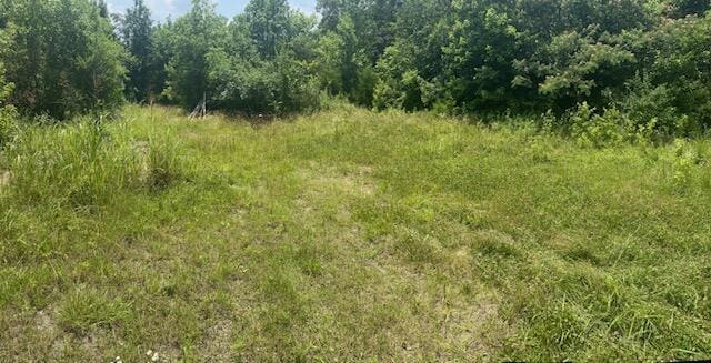2236 County Road 561, Englewood, TN 37329