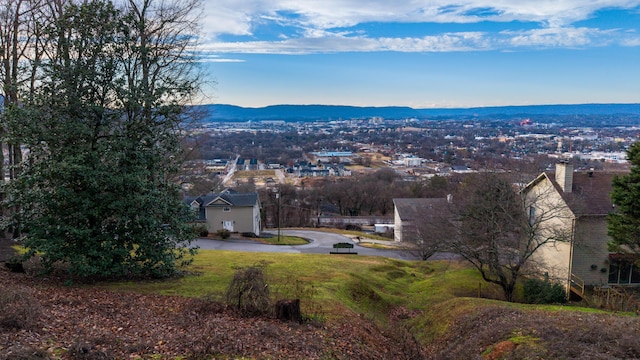 1720 S Crest Manor Ln, Chattanooga TN, 37404 land for sale