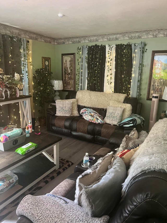 living room with hardwood / wood-style floors