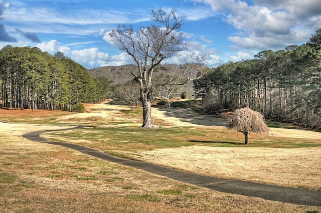 view of home's community