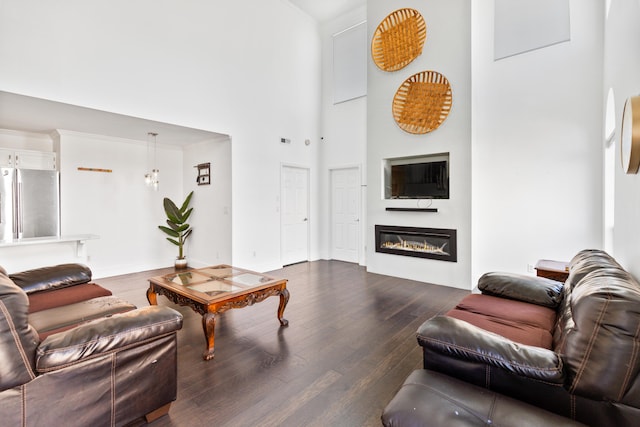 6706 Willow Trace Dr, Chattanooga, TN 37421 - living area with a high ceiling, wood finished floors, a glass covered fireplace, and baseboards