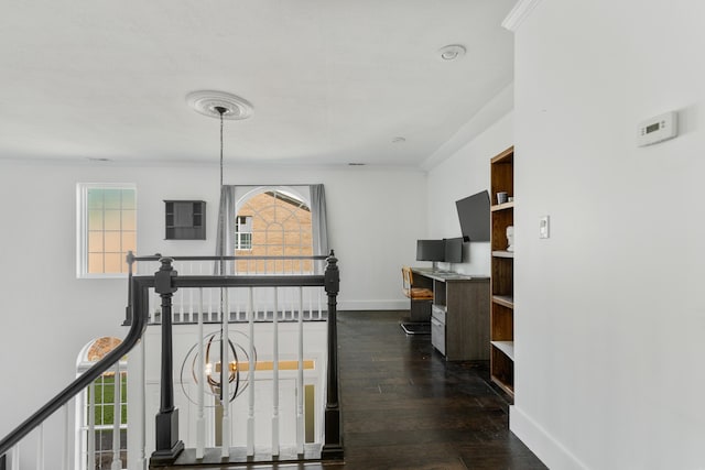 6706 Willow Trace Dr, Chattanooga, TN 37421 - hall with dark wood-style flooring, plenty of natural light, baseboards, and ornamental molding