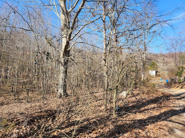 Listing photo 3 for 000 County Road 110, Athens TN 37303