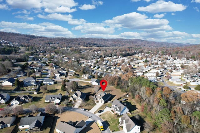 bird's eye view