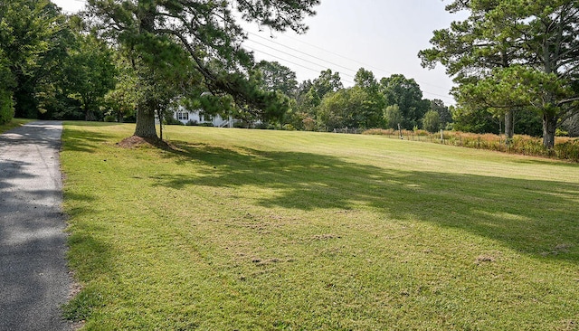 view of home's community featuring a yard