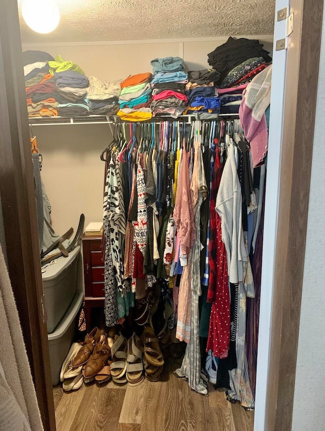 spacious closet featuring hardwood / wood-style flooring