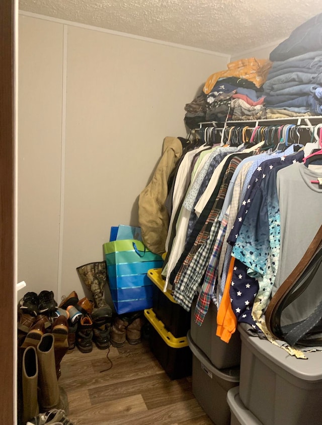 walk in closet featuring hardwood / wood-style flooring