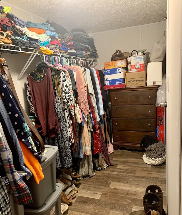 walk in closet with wood-type flooring