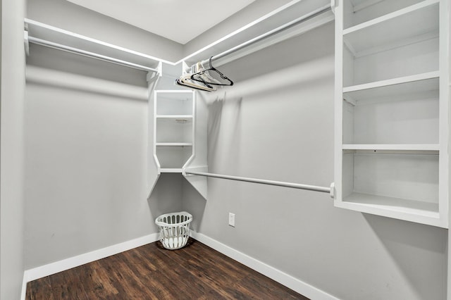 spacious closet with wood finished floors