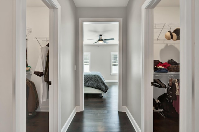 hall featuring dark hardwood / wood-style floors