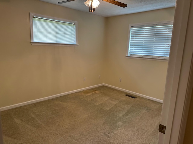 305 Medlin Pike, Evensville, TN 37332 - photo 14
