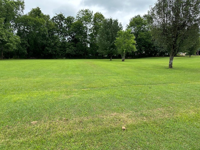 305 Medlin Pike, Evensville, TN 37332 - photo 31