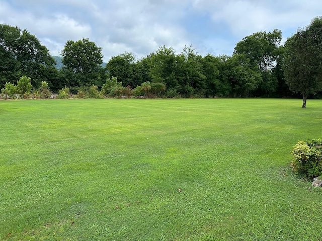 305 Medlin Pike, Evensville, TN 37332 - photo 32