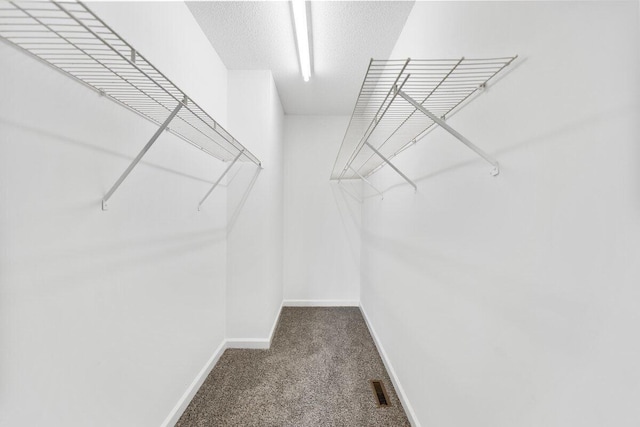 373 Kile Ln SW, Cleveland, TN 37311 - walk in closet with carpet floors