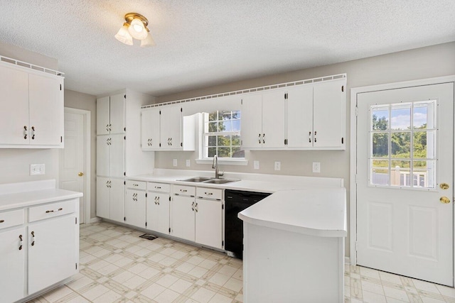 373 Kile Ln SW, Cleveland, TN 37311 - kitchen with a sink, light floors, dishwasher, plenty of natural light, and a textured ceiling