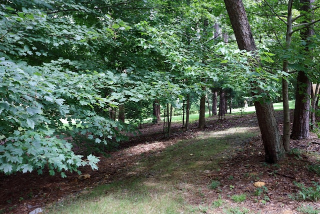 5175 Frontage Rd NW, Cleveland, TN 37312 - photo 60