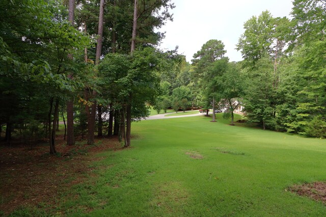 5175 Frontage Rd NW, Cleveland, TN 37312 - photo 44