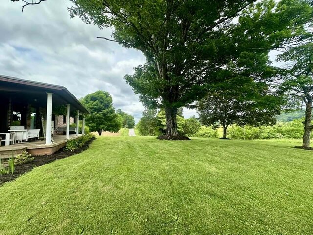 2996 Sugar Grove Valley Rd, Harriman, TN 37748 - view of green lawn